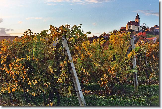 Letztes Bild erreicht